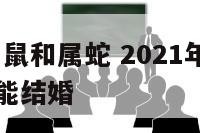 2019年属鼠和属蛇 2021年属蛇和属鼠的能不能结婚