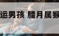 腊月属猴的命运男孩 腊月属猴的命运男孩名字