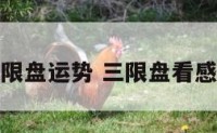 三限盘运势 三限盘看感情