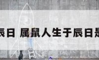 属鼠生于辰日 属鼠人生于辰日是什么意思