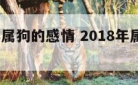 2018年属狗的感情 2018年属狗人一生运势