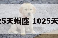 10.25天蝎座 1025天蝎座