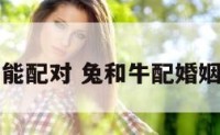兔和牛能配对 兔和牛配婚姻相克吗
