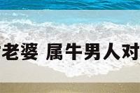 属牛男人对老婆 属牛男人对老婆的态度