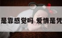 爱情只是靠感觉吗 爱情是凭感觉吗