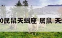 2020属鼠天蝎座 属鼠 天蝎座