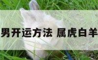 生肖虎白羊男开运方法 属虎白羊男的爱情观