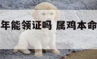 属鸡的本命年能领证吗 属鸡本命年要佩戴什么