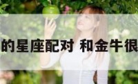 跟金牛配的星座配对 和金牛很配的星座