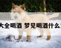 解梦大全喝酒 梦见喝酒什么意思?