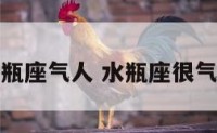 水瓶座气人 水瓶座很气人