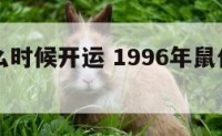 96年什么时候开运 1996年鼠什么时候行大运