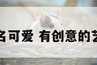 艺术公司起名可爱 有创意的艺术公司名称