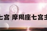 摩羯座第七宫 摩羯座七宫主星是什么