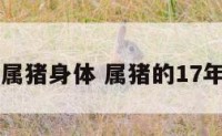 17年属猪身体 属猪的17年多大