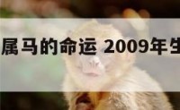 2009年属马的命运 2009年生肖马的运程