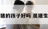 生属猪的孩子好吗 属猪生宝宝