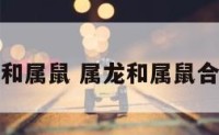 属龙哥和属鼠 属龙和属鼠合不合适