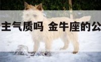 金牛座有公主气质吗 金牛座的公主是什么样子的