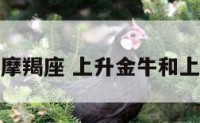 上升金牛的摩羯座 上升金牛和上升摩羯区别