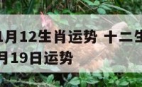 19年11月12生肖运势 十二生肖2020年11月19日运势