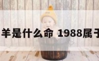 1988属羊是什么命 1988属于什么命