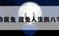 八字算命属兔 属兔人生辰八字自查表