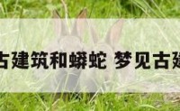梦见古建筑和蟒蛇 梦见古建筑物