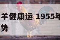 1955年属羊健康运 1955年属羊的人2021年运势