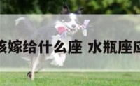 水瓶座应该嫁给什么座 水瓶座应该嫁给谁