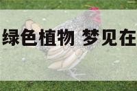 梦见在水里种绿色植物 梦见在水里种绿色植物什么意思