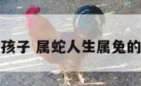 属蛇兔生孩子 属蛇人生属兔的宝宝好吗