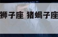 猪蝎子座与龙狮子座 猪蝎子座与龙狮子座合不合
