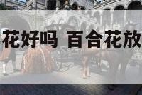 客厅放百合鲜花好吗 百合花放客厅对人有没有伤害