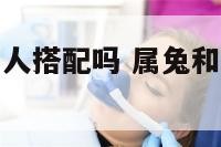 属兔跟属龙的人搭配吗 属兔和属龙相配好不好