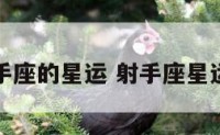 射手座的星运 射手座星运色