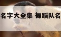 好听舞蹈队名字大全集 舞蹈队名字大全有创意