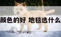 地毯铺什么颜色的好 地毯选什么颜色风水好