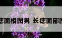 长痣面相图男 长痣面部图解