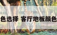 客厅地板颜色选择 客厅地板颜色选择哪种好