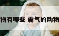 霸气的动物有哪些 霸气的动物名称大全