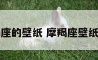 摩羯座的壁纸 摩羯座壁纸图片