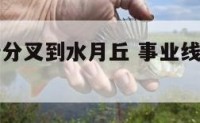 事业线中端分叉到水月丘 事业线从月丘到中指