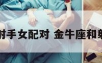 金牛座和射手女配对 金牛座和射手座搭吗
