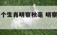 十二生肖哪个生肖明察秋毫 明察秋毫的动物是什么生肖