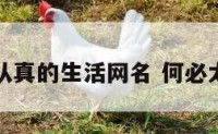 何必太认真的生活网名 何必太认真呢