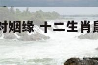 12生肖鼠配对姻缘 十二生肖鼠配对姻缘合婚