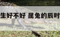 属兔辰时出生好不好 属兔的辰时出生的人好不好