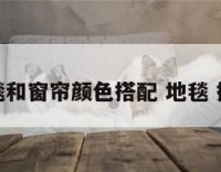 地毯和窗帘颜色搭配 地毯 搭配