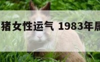 1983属猪女性运气 1983年属猪女的运气